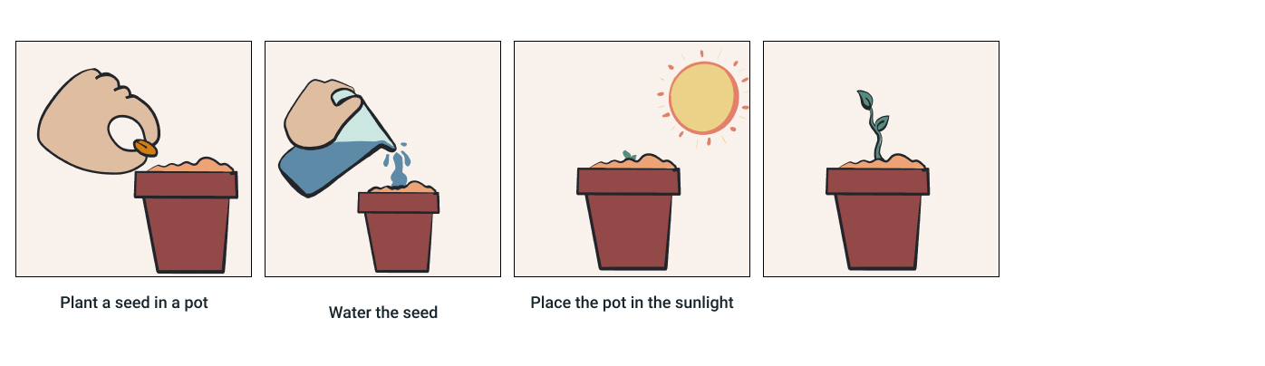 Growing a plant - 4 steps